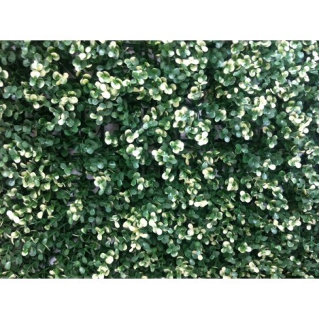 MURO VERDE ARTIFICIAL PVC MODELO ALIGUSTRE 6048 - protección UV & Fire Retardant (precio por m2, pre