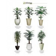 PLANTAS ARTIFICIALES EN HOJA DE SEDA 2 (al precio agregar 5% de empaque y flete)