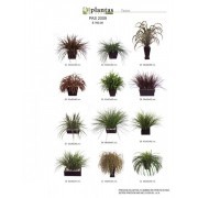 PLANTAS ARTIFICIALES EN HOJA DE SEDA 4 (al precio agregar 5% de empaque y flete)