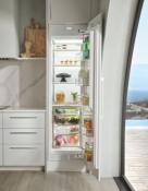 Refrigerador Columna (All Refrigerator) 24" (60 cm) Marca: Subzero Modelo: DEC2450R Color: Panel Ready ($14,205 USD) (2026 03)