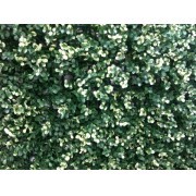 MURO VERDE ARTIFICIAL PVC MODELO ALIGUSTRE 6048 - protección UV & Fire Retardant (precio por m2, pre