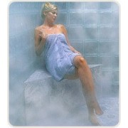 BAÑO DE VAPOR. GENERADOR DE VAPOR STEAMIST 12.74 M3 240V TGS-10 $3,480.00USD COMPATIBLE CON AUDIOTER