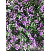 MURO VERDE ARTIFICIAL PVC MODELO LAVANDA 6048 P - protección UV & Fire Retardant (precio por m2, pre