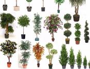 PLANTAS ARTIFICIALES